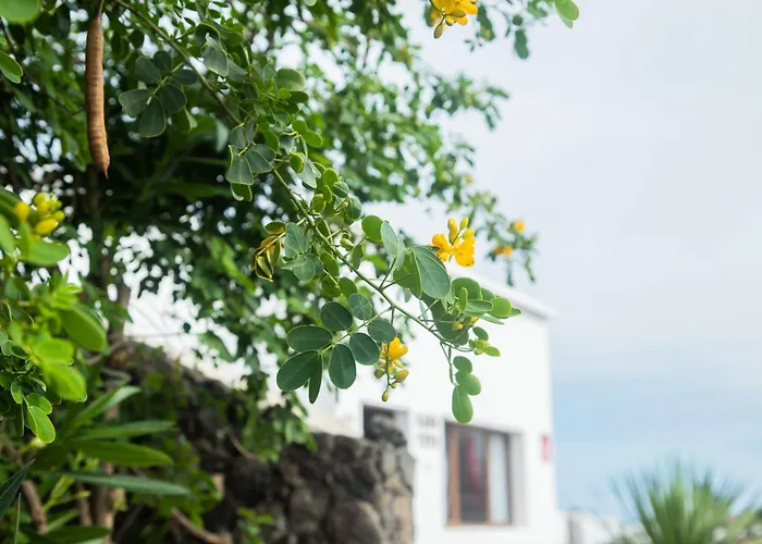 Yeyo En El Cráter Del Volcán *