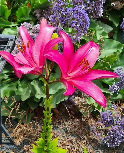Yeyo En El Crater Del Volcan
